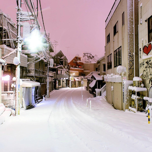 尤物视频免费在线观看
