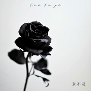 尤物视频免费在线观看
