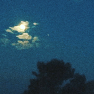 尤物视频免费在线观看
